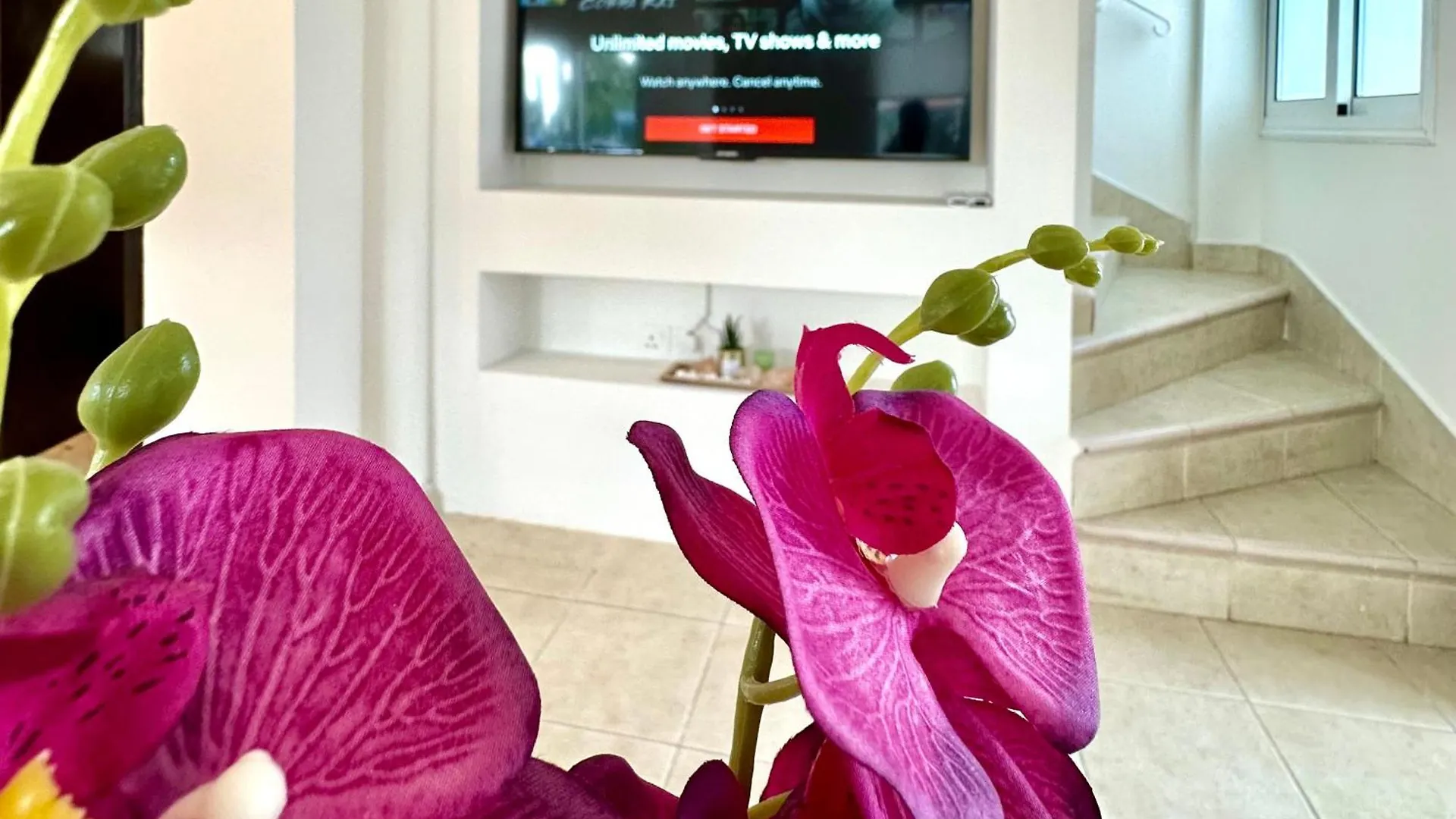 Dream Tropicana Villa - Ayia Napa
